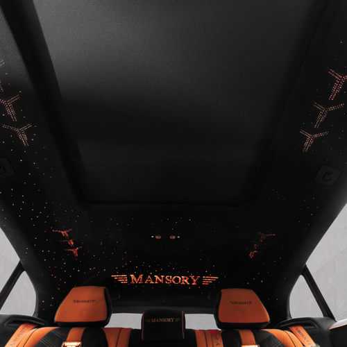 2026 Mansory Venatus SE Interior