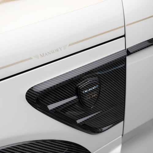 2026 Mansory Zeekr 9X Exterior