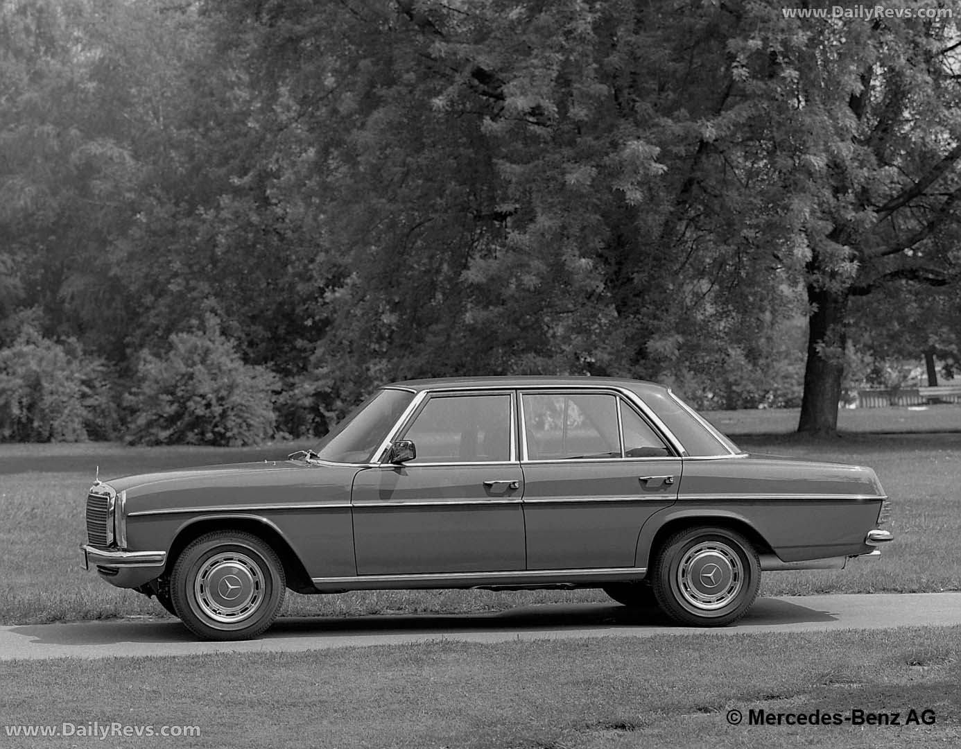 1976 Mercedes-Benz 280 E W123 Side View