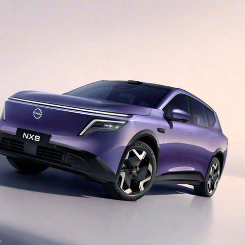 Image of NX8
