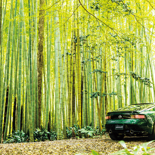 2027 Nissan Fairlady Z Japanese Version Rear View