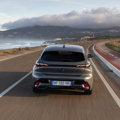 2025   Rear View