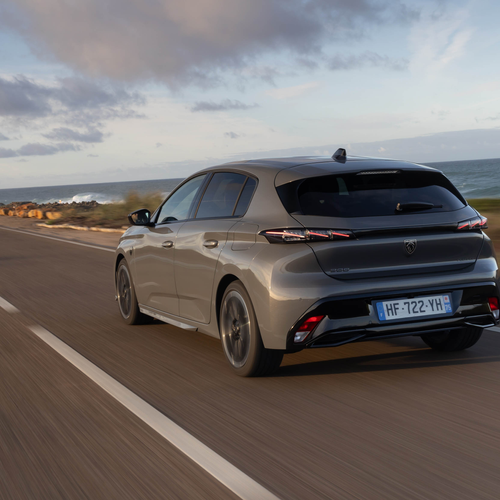 2025   Rear View