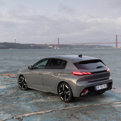 2025   Rear View