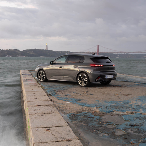 2025   Rear View