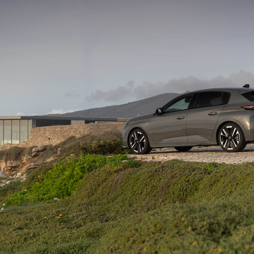 2025   Rear View