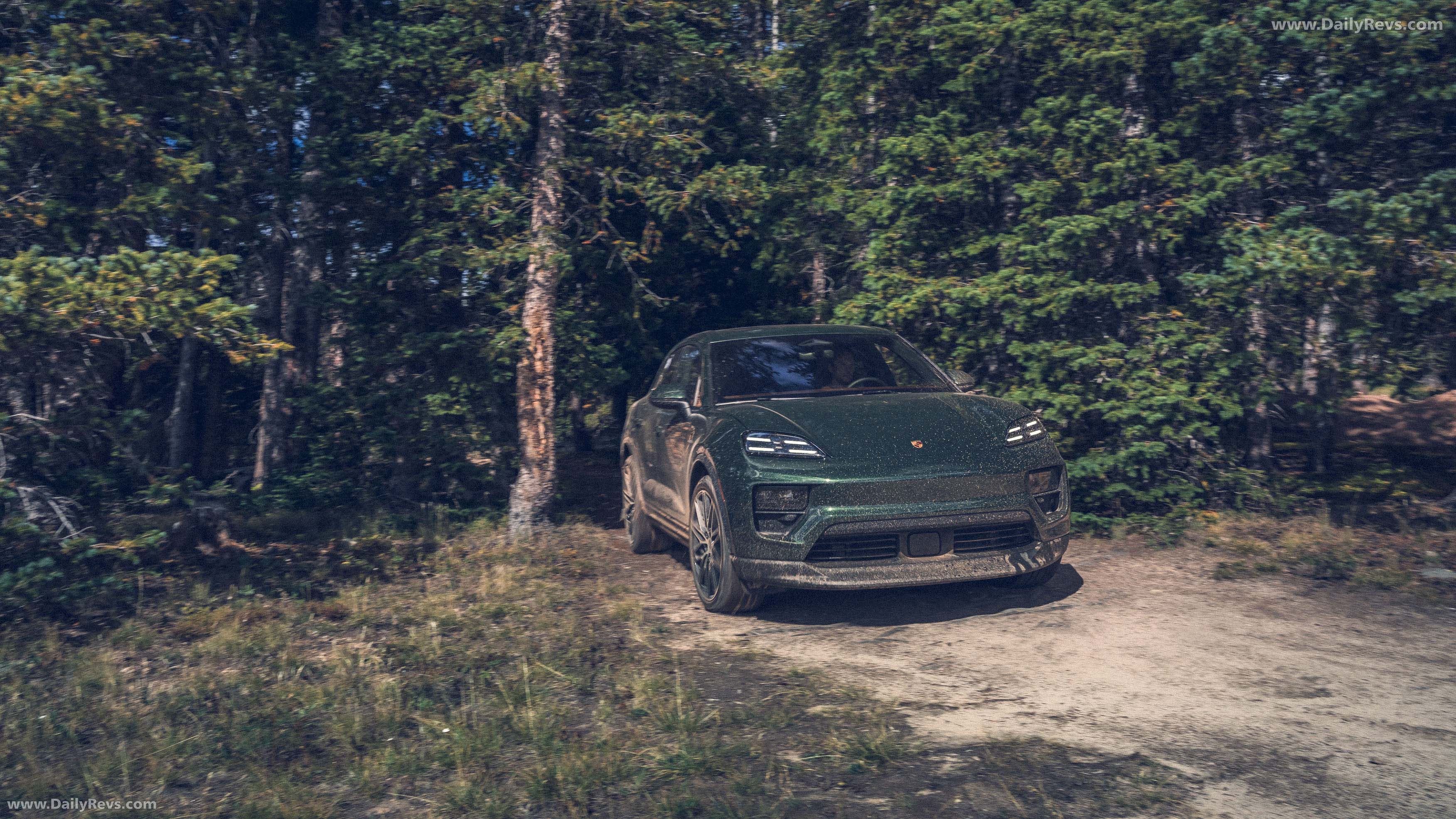 2025 Porsche Macan 4 Oak Green Front View