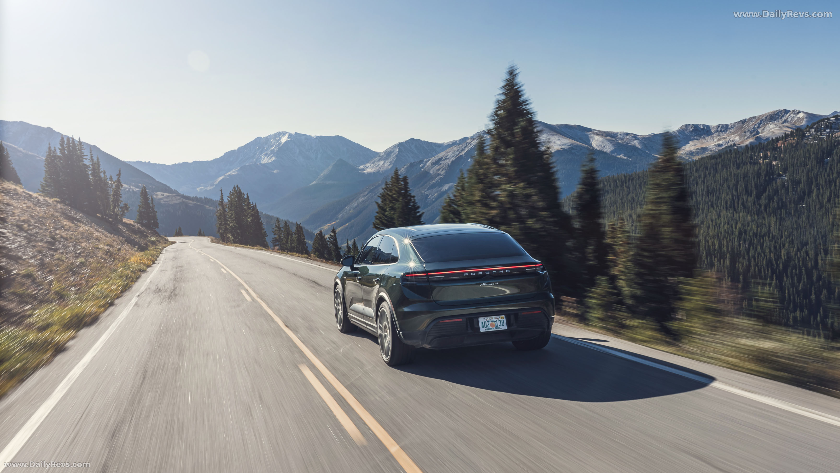 2025 Porsche Macan 4 Oak Green Rear View
