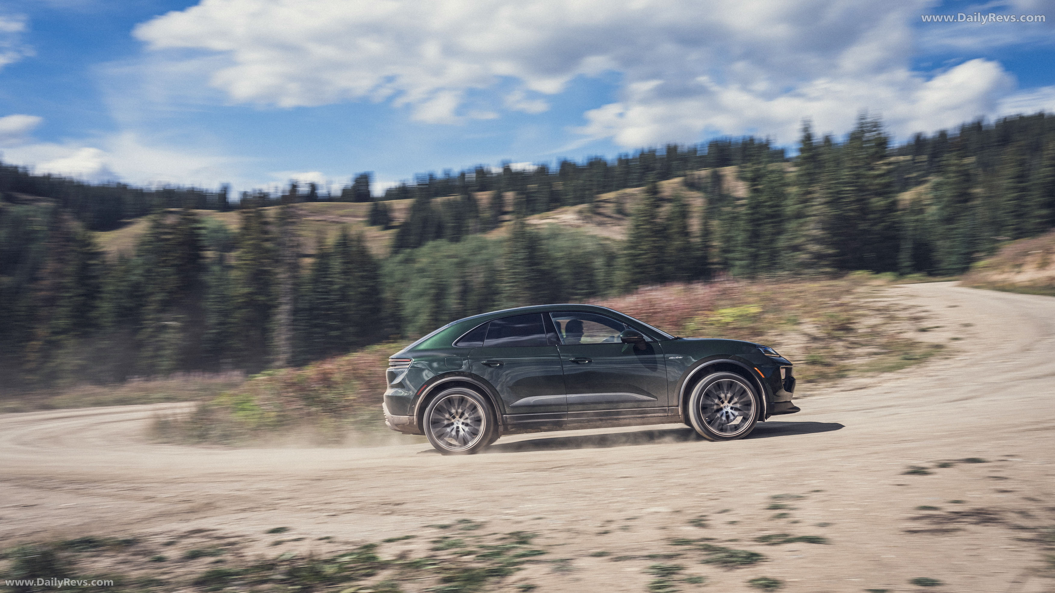 2025 Porsche Macan 4 Oak Green Side View