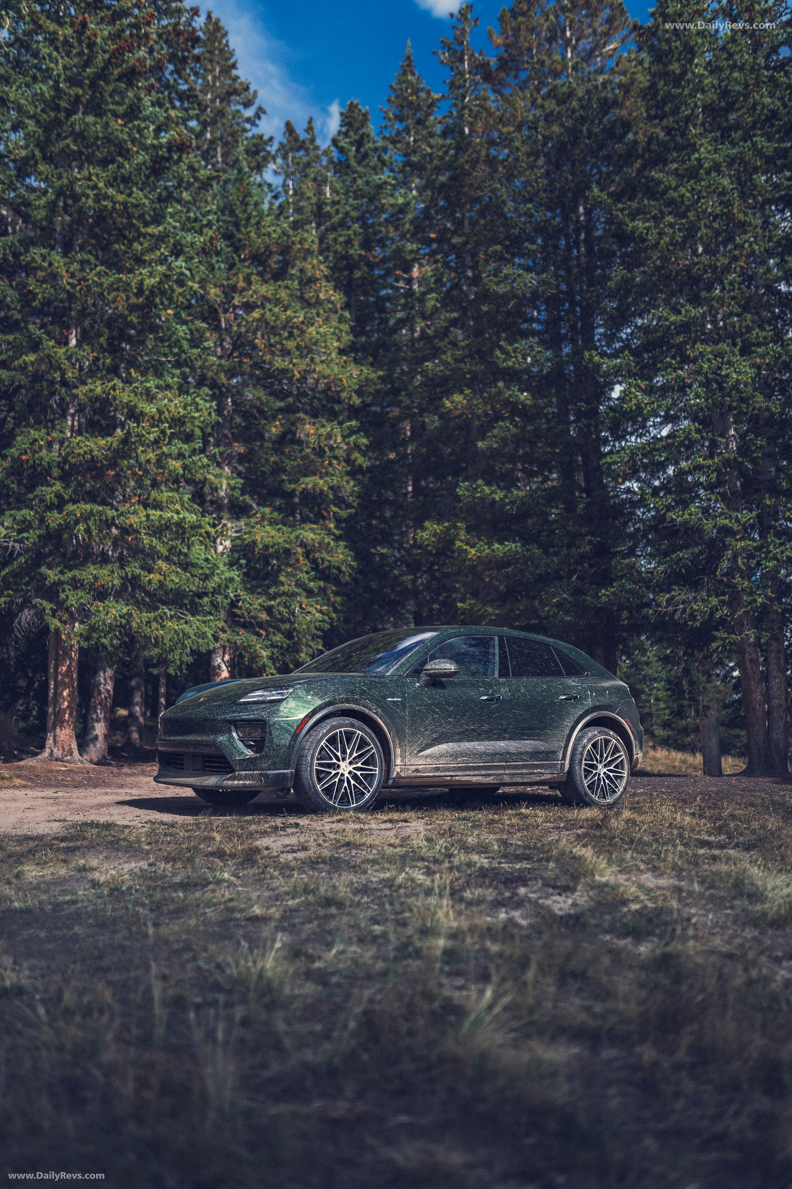 2025 Porsche Macan 4 Oak Green Side View