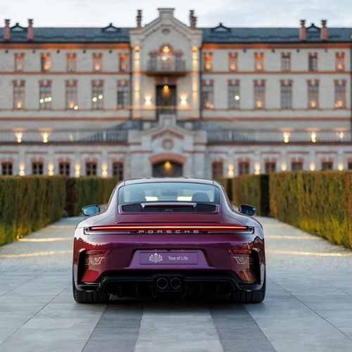 2026 Porsche 911 GT3 Touring Tree of Life 992 ll Rear View