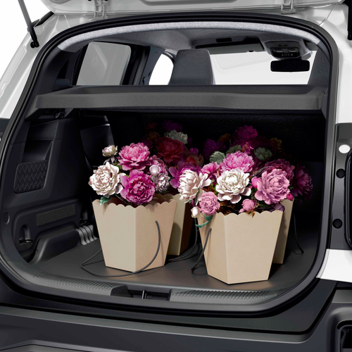 2025 Renault 4 E-Tech electric Societe Interior