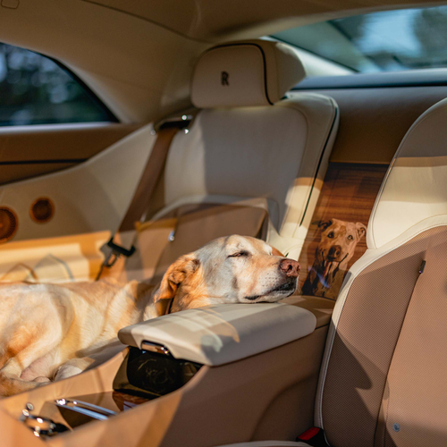 2026 Rolls-Royce Spectre Bailey Interior