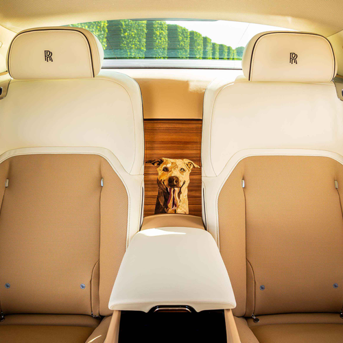 2026 Rolls-Royce Spectre Bailey Interior