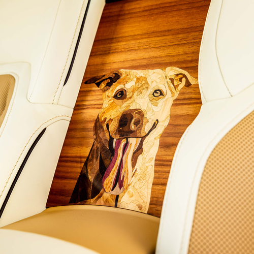2026 Rolls-Royce Spectre Bailey Interior