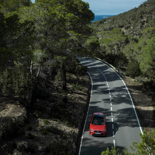 2026 Seat Ibiza FR Top View
