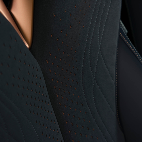 2026 Seat Cupra Tavascan VZ Interior