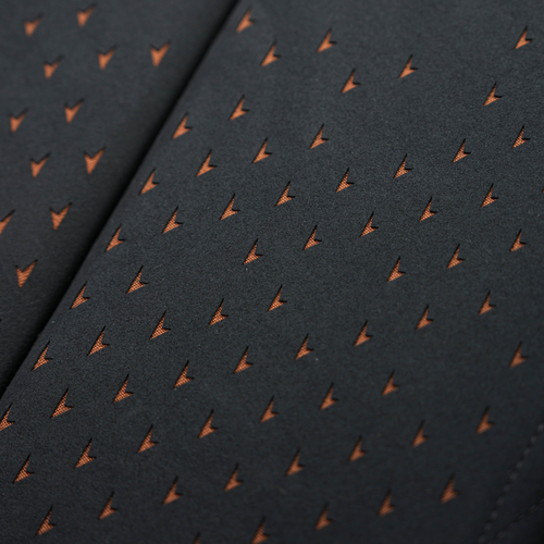 2026 Seat Cupra Tavascan VZ Interior