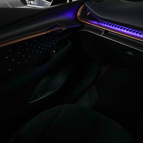 2026 Seat Cupra Tavascan VZ Interior