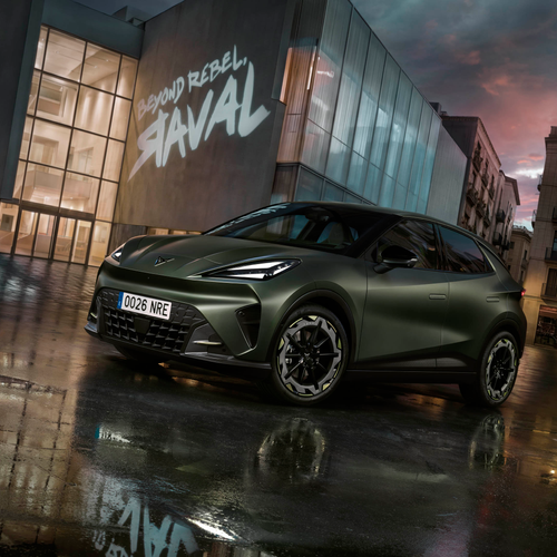 Image of Cupra Raval Manganese Matt