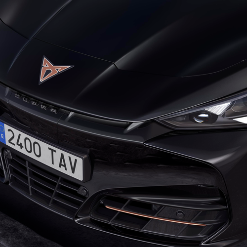 2026 Seat Cupra Tavascan V Exterior
