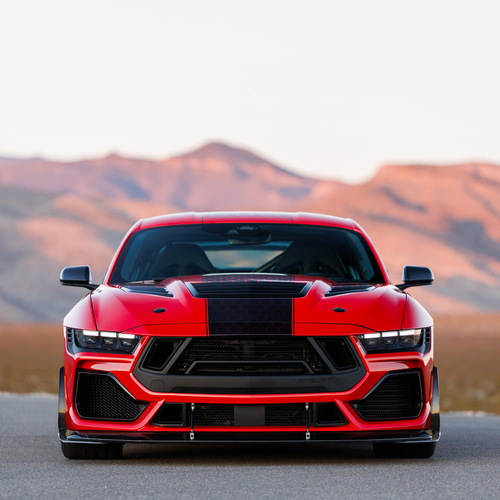 Image of Super Snake R