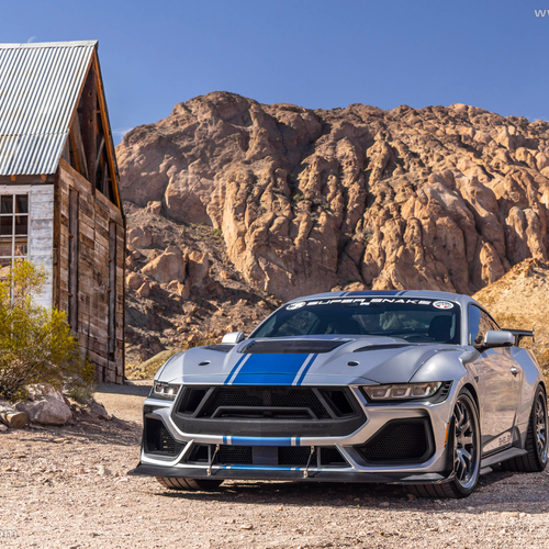 Image of Super Snake