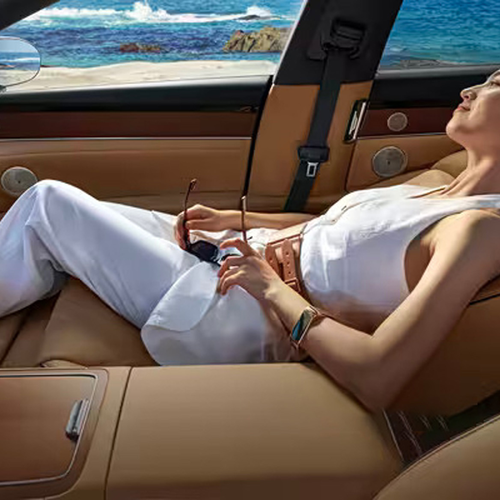 2026 Stelato S9T Endurance Edition Interior