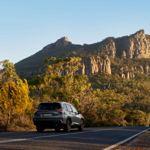 2025 Subaru Forester AWD Hybrid Sport Australian Version Rear View