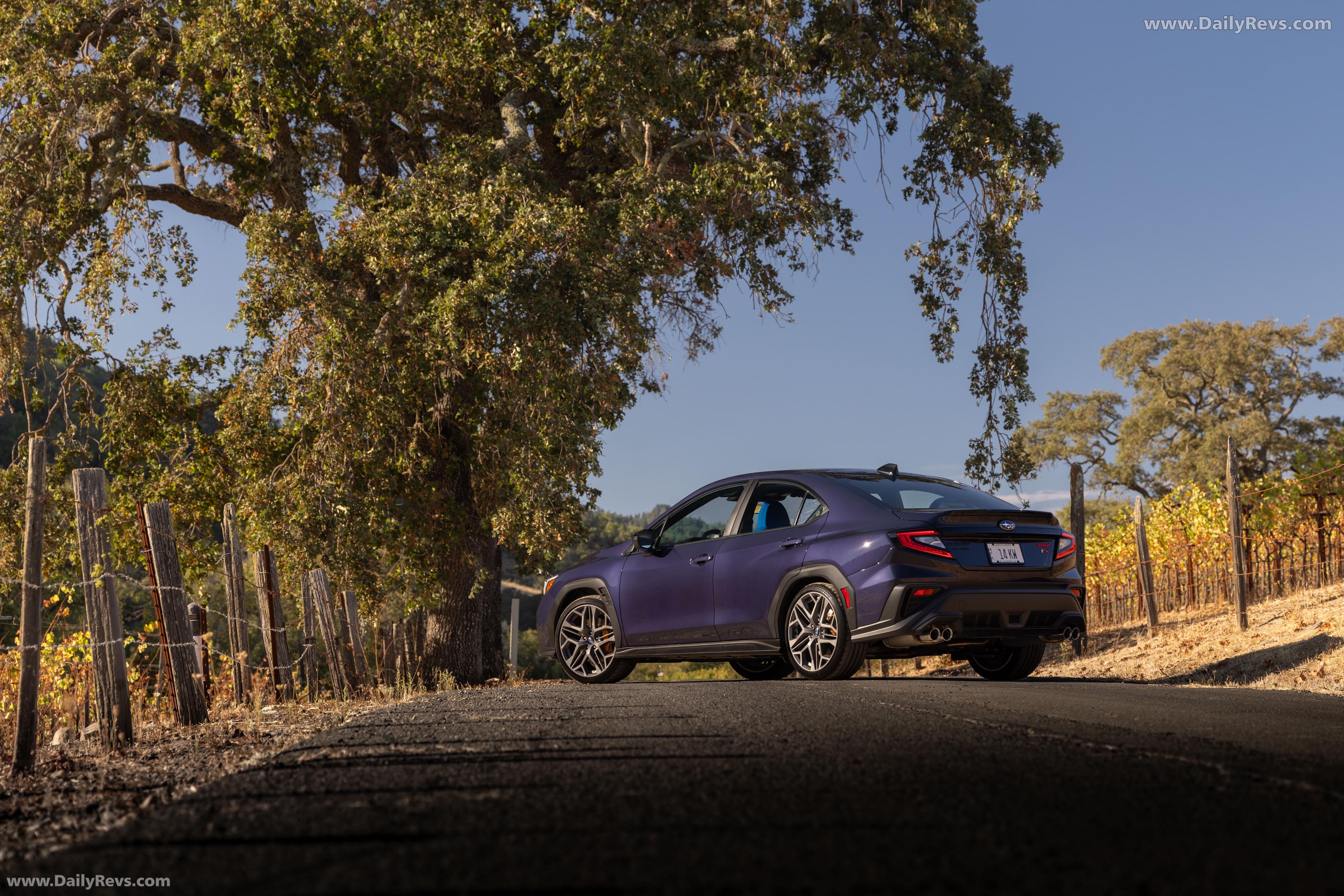 2025 Subaru WRX tS Galaxy Purple Pearl Rear View