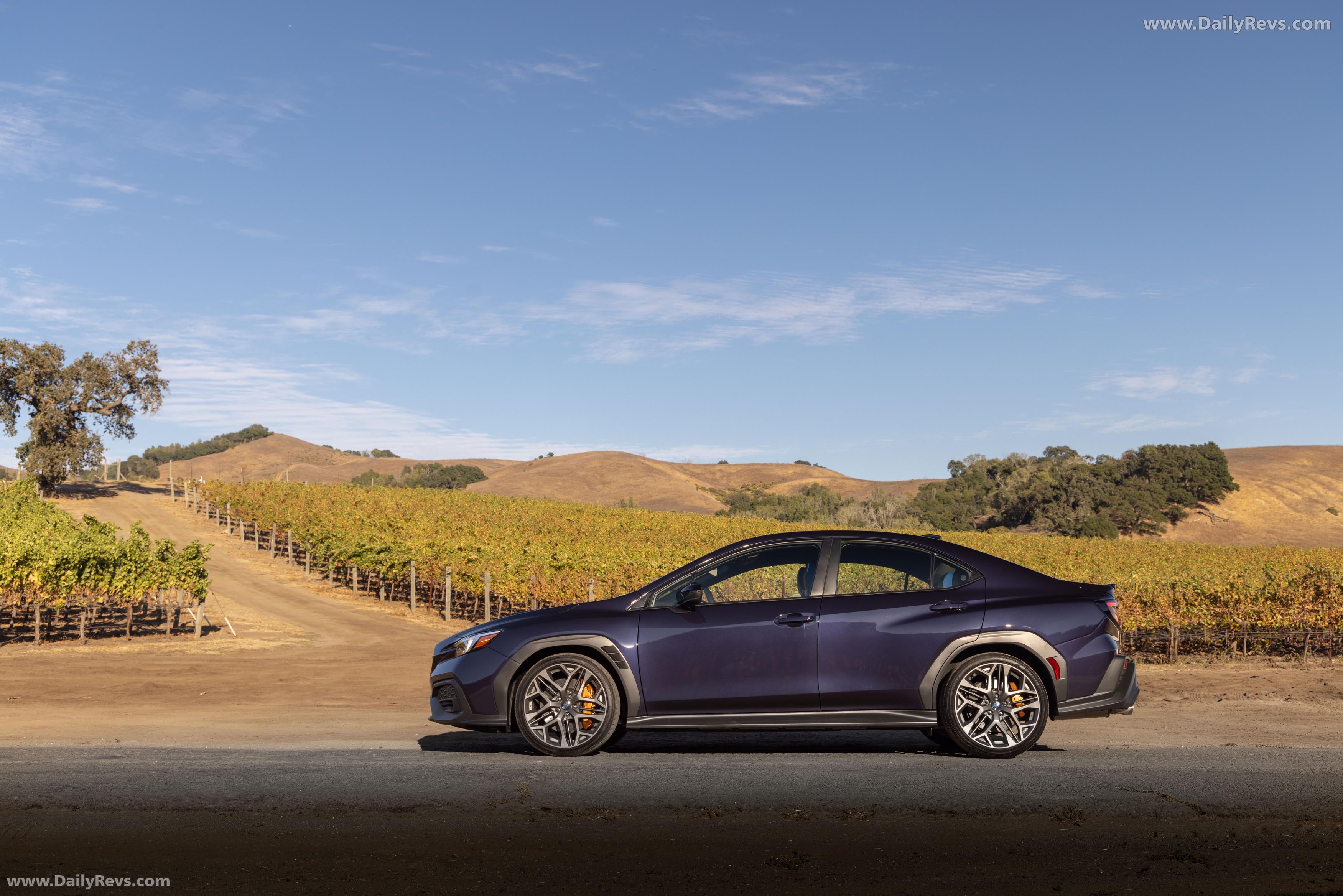 2025 Subaru WRX tS Galaxy Purple Pearl Side View
