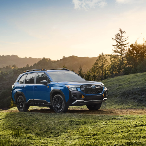 Image of Forester Wilderness Hybrid