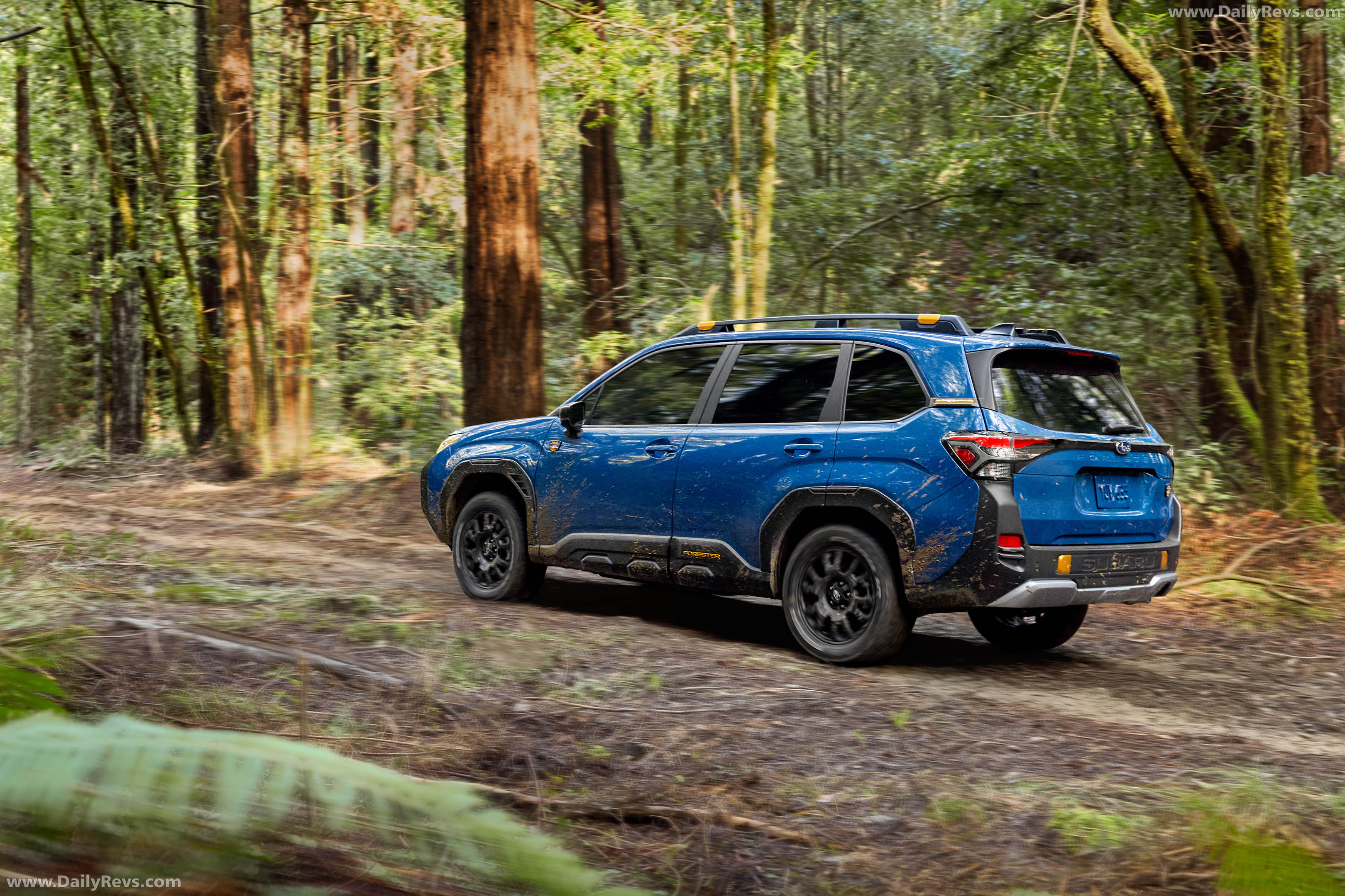 2027 Subaru Forester Wilderness Hybrid Rear View