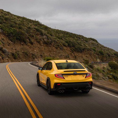 2026 Subaru WRX Series Yellow Rear View