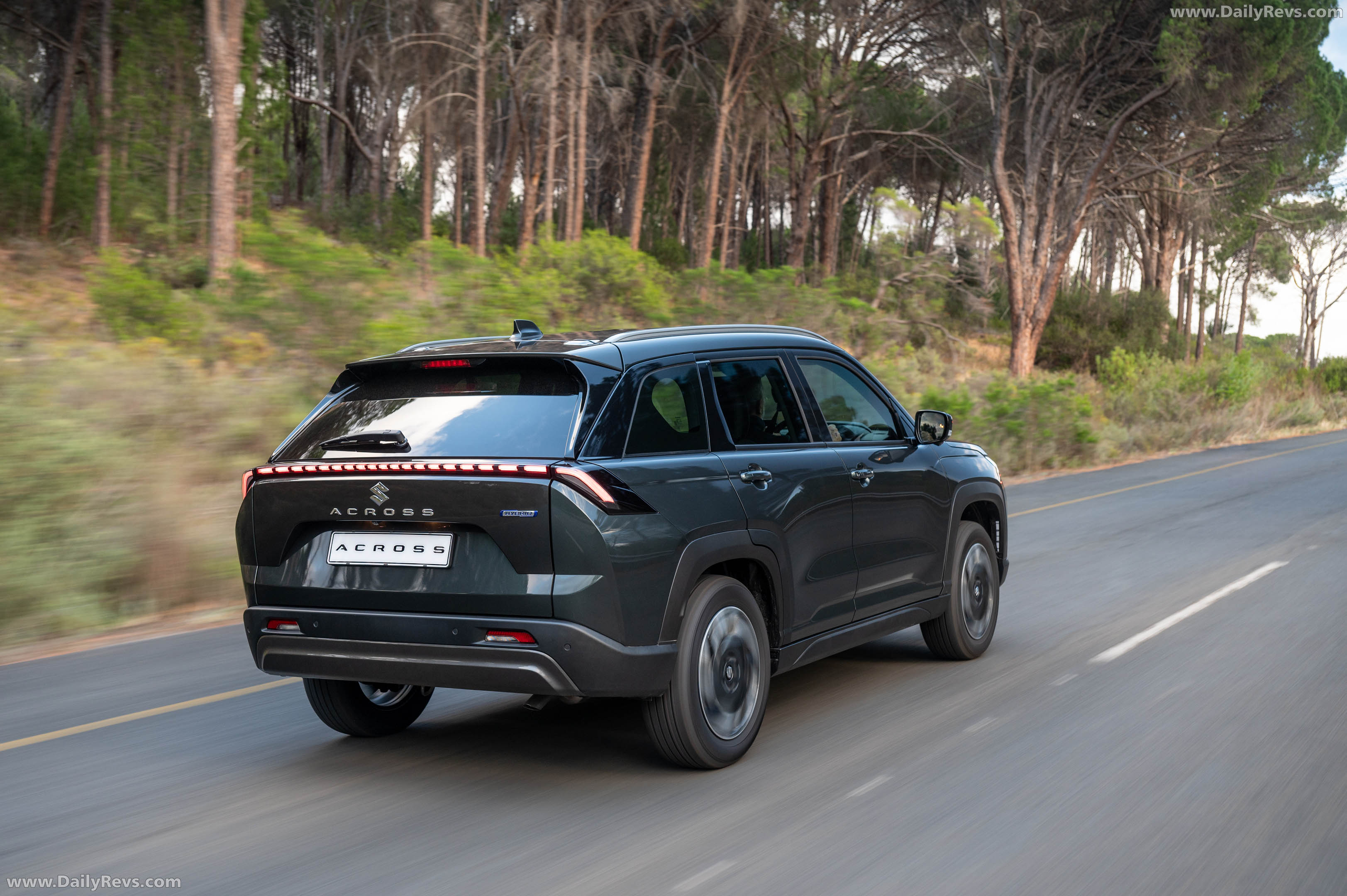 2026 Suzuki Across South African Version Rear View