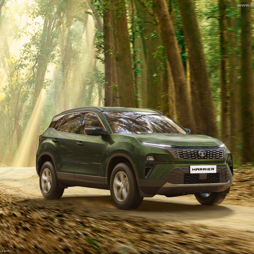 Image of Harrier Adventure X