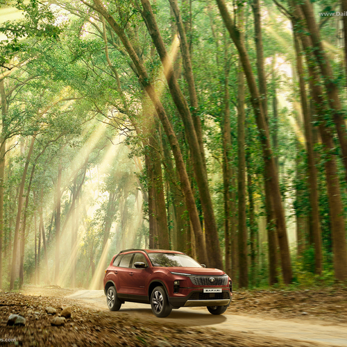 Image of Safari Adventure X