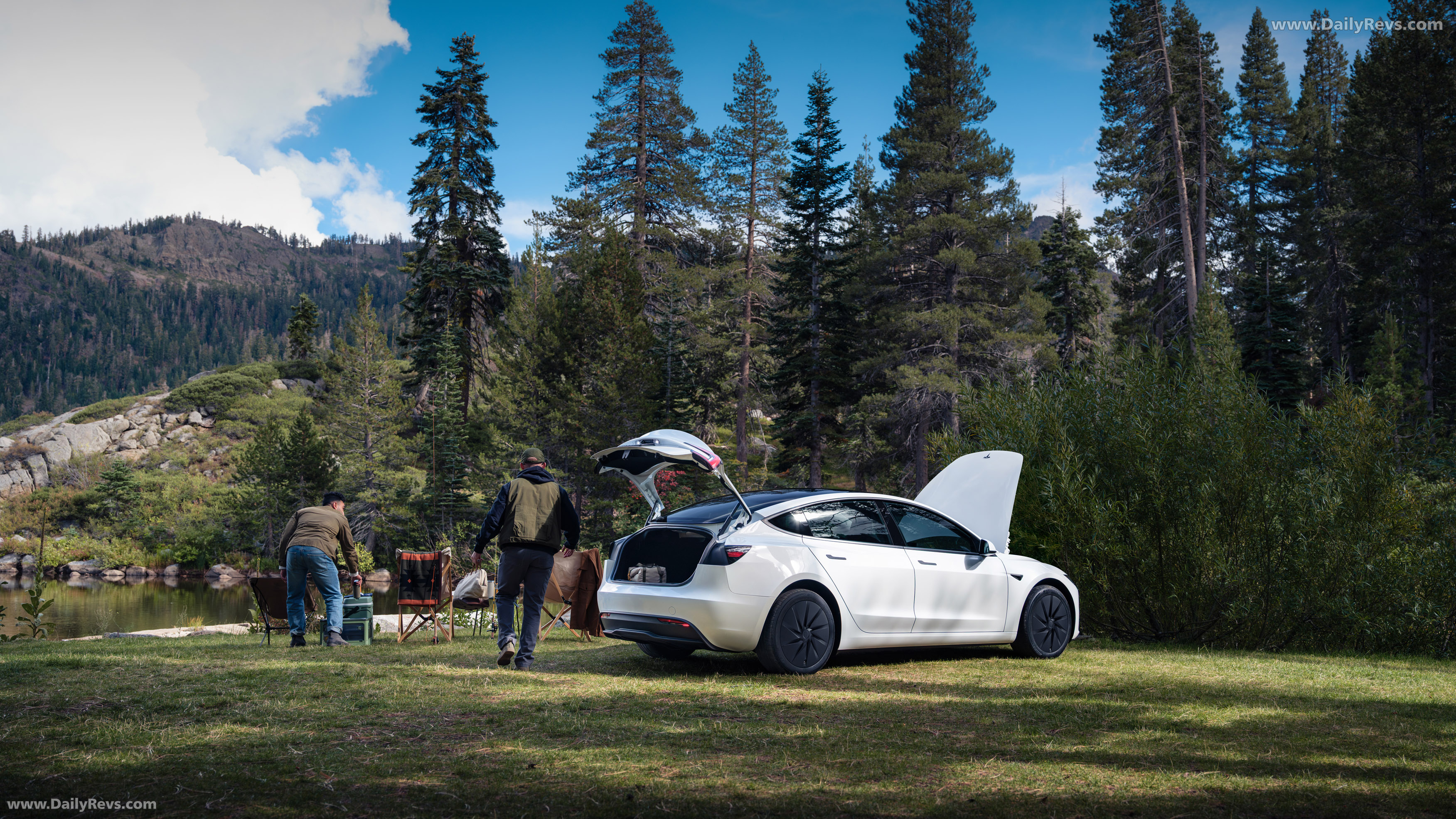 2026 Tesla Model 3 Standard Rear View