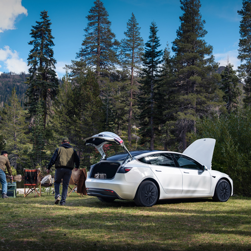 2026 Tesla Model 3 Standard Rear View