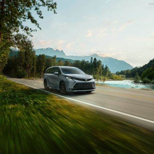 Image of Sienna Woodland