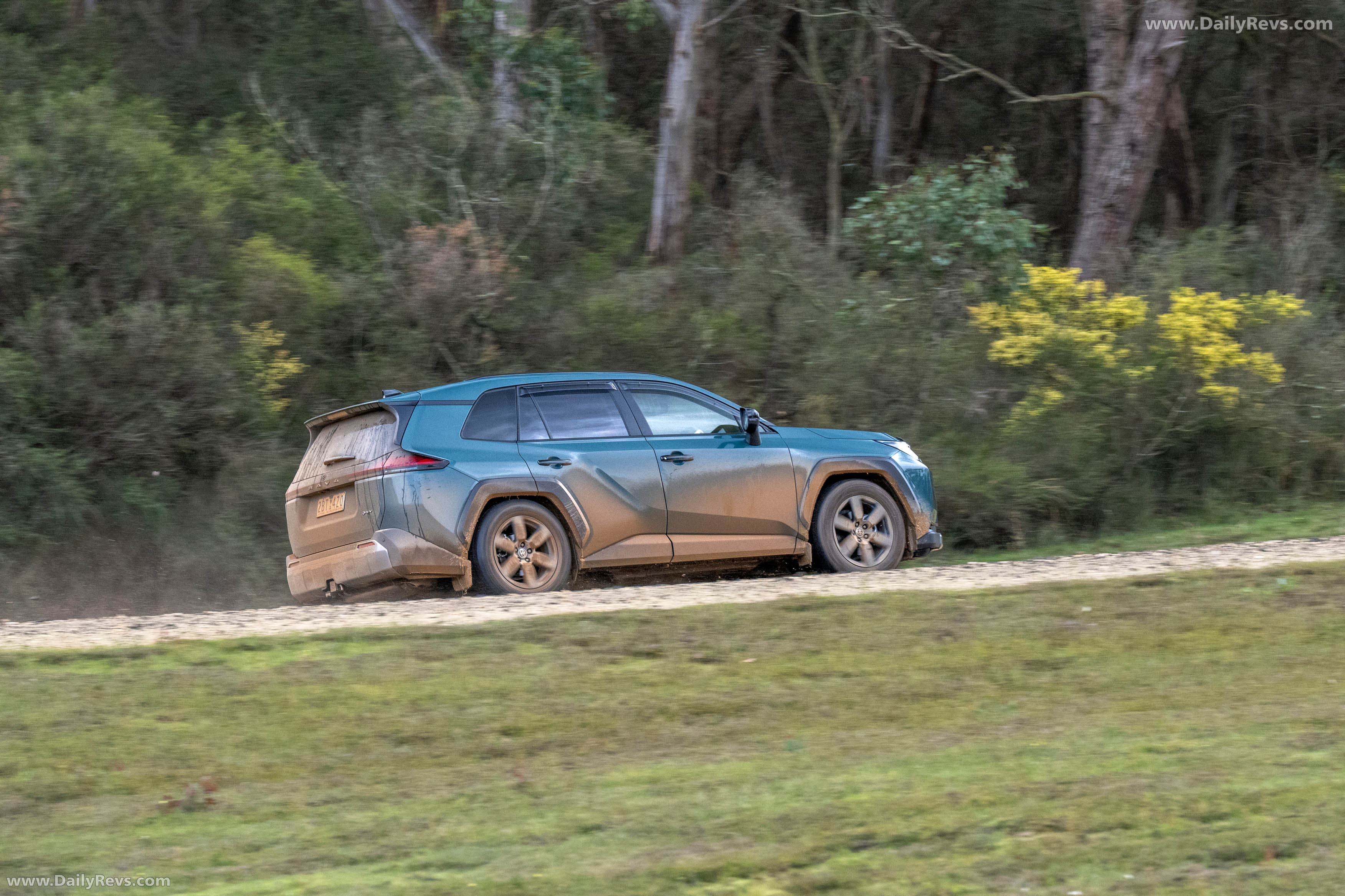 2026 Toyota RAV4 Australian Version Rear View