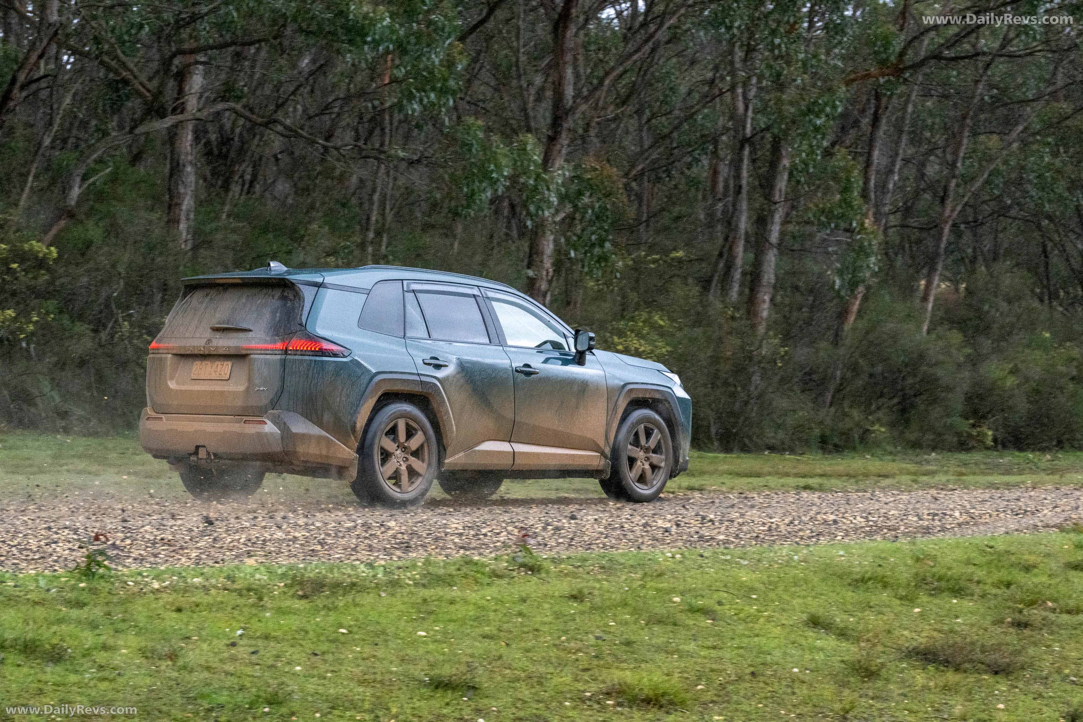 2026 Toyota RAV4 Australian Version Rear View