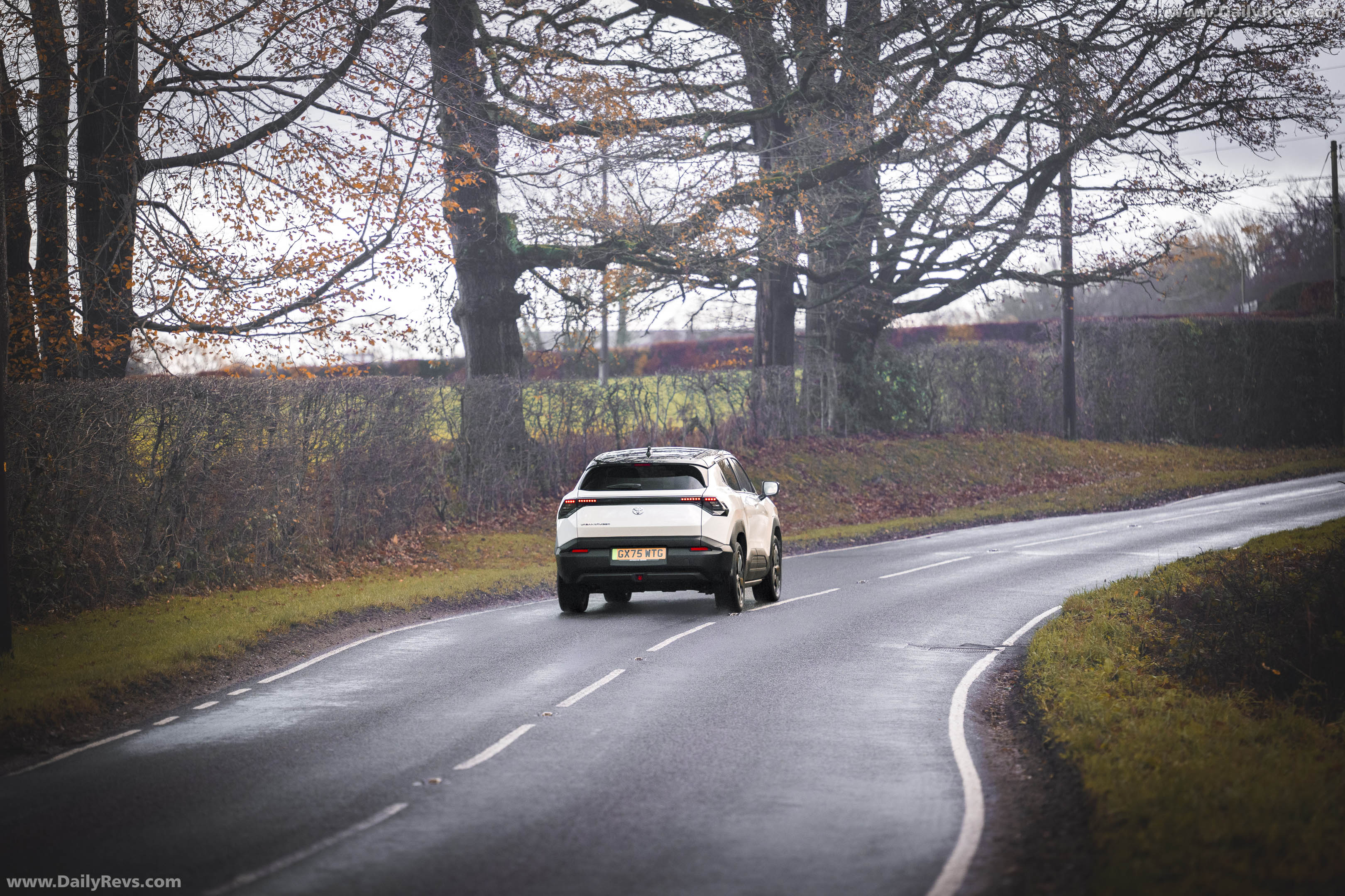 2026 Toyota Urban Cruiser UK Version Rear View