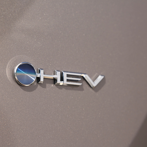 2026 Toyota RAV4 Cruiser Exterior