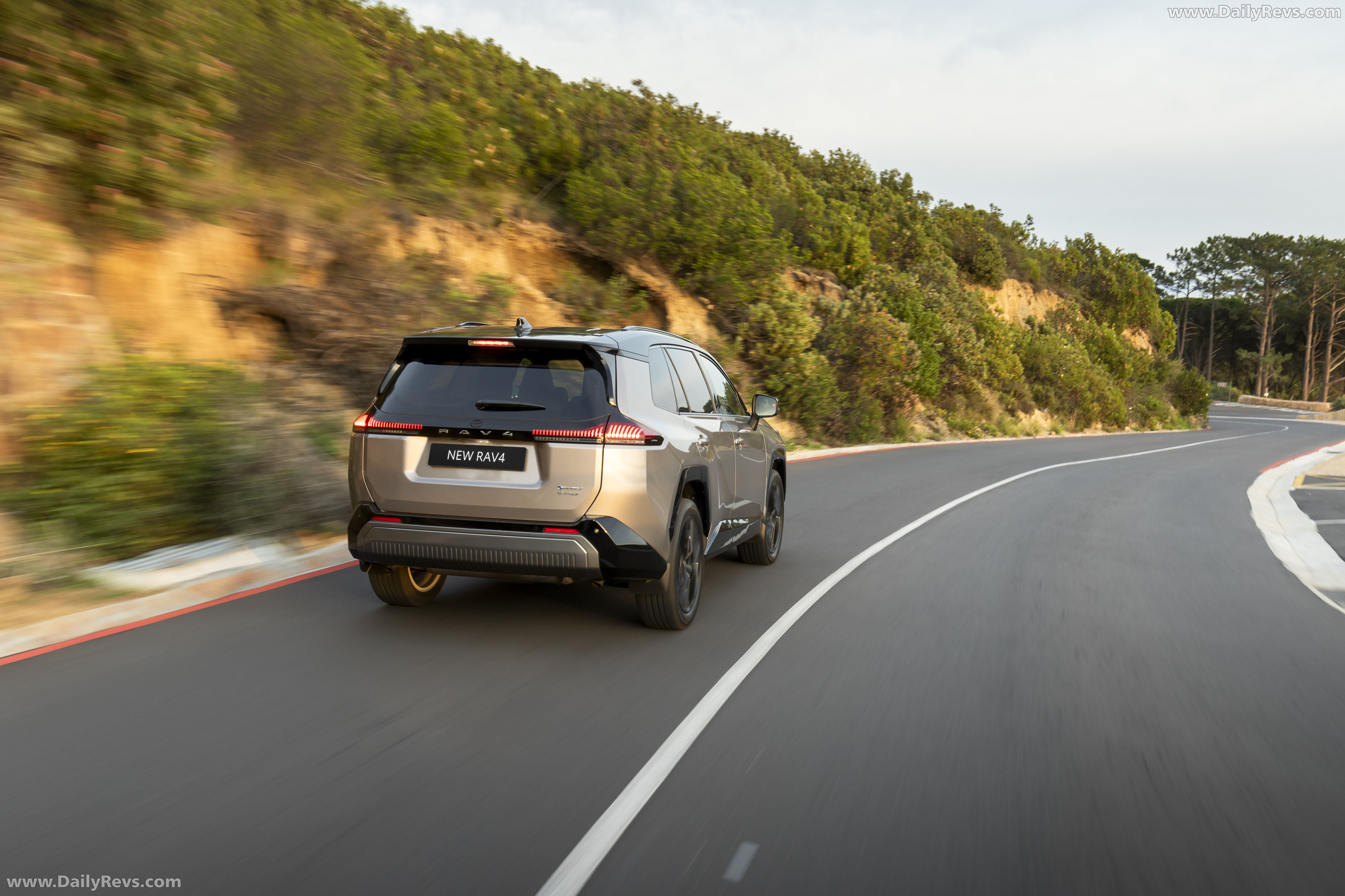 2026 Toyota RAV4 Plug in Hybrid South African Version Rear View