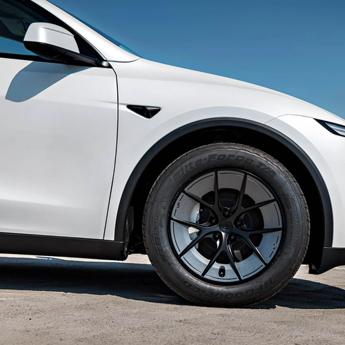 2025 Unplugged Performance Model Y Exterior