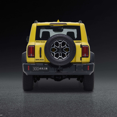 2026 WEY Tank 300 Hooke Trail Rear View