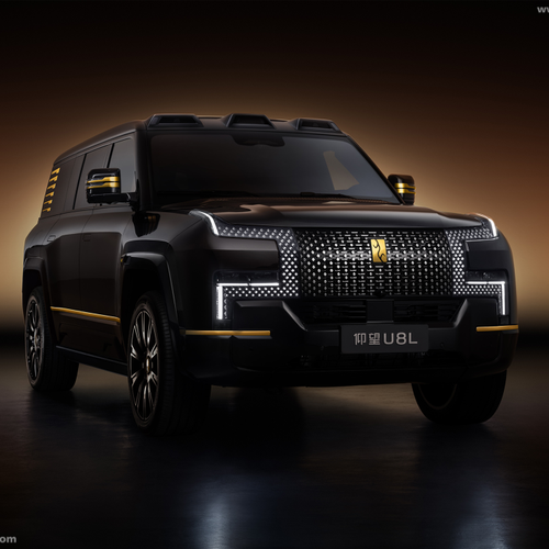 Image of U8L Dingshi Edition